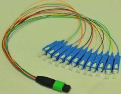 MPO Multi-Mode & Single Mode Patch Cord