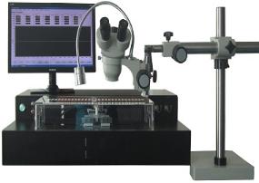 PM Fibre Coupling Tapering System